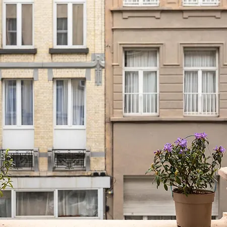 Studio Anvers